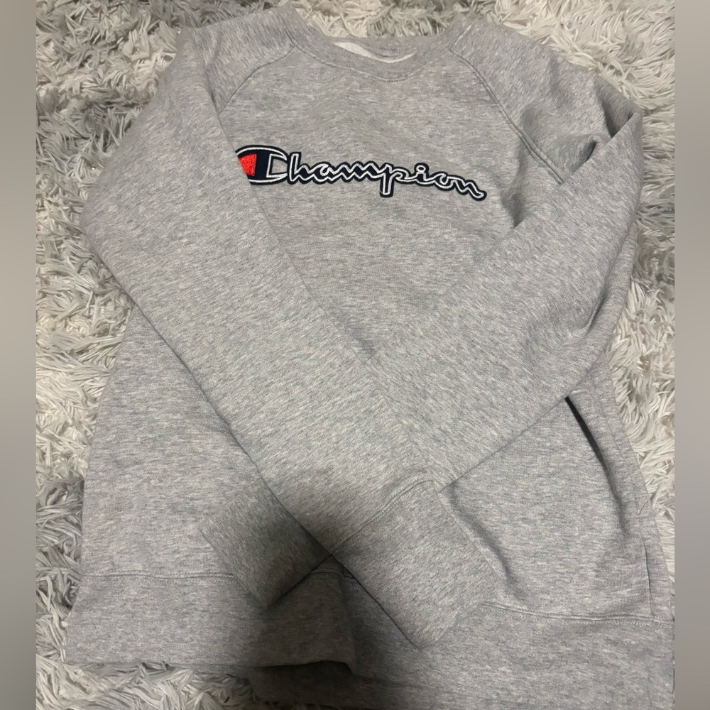 Champion Gray Sweatshirt